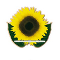 Sunflower Digital Memo Board
